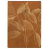 ボタモダンニーVI クリップボード (裏面)