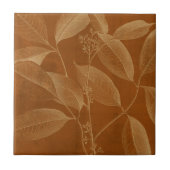 ボタモダンニーVI タイル (正面)