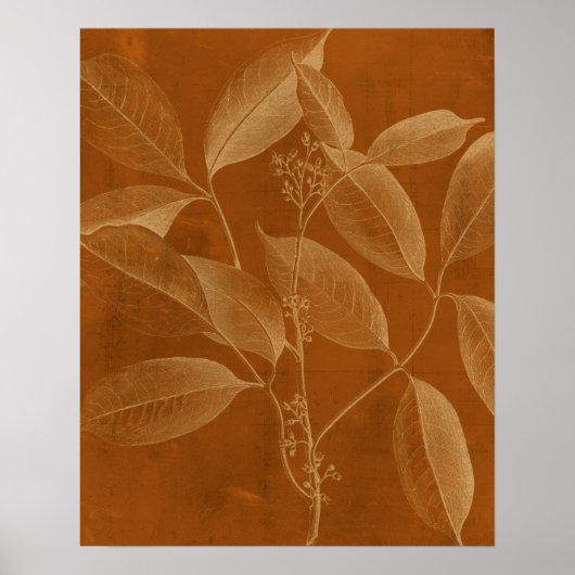 ボタモダンニーVI ポスター (正面)