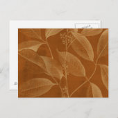 ボタモダンニーVI ポストカード (正面/裏面)