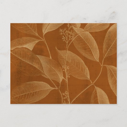 ボタモダンニーVI ポストカード (正面)