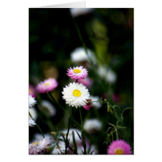 ボタンとしてかわいい