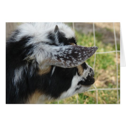 ボタンの外観 (正面横)