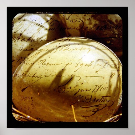 ボタンウズラの卵 ポスター (正面)