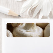 ボタンキノコ ラベル (インサイチュ)