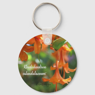 ボタンキーリング キーホルダー