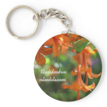 ボタンキーリング