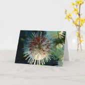 ボタンブッシュ カード (黄色い花)