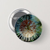 ボタンブッシュ 缶バッジ (正面&裏面)