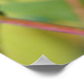 ボタンブッシュ#2 ポスター (角)