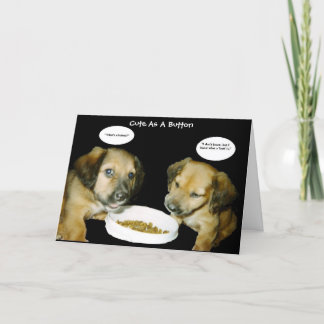 ボタン誕生日 カード