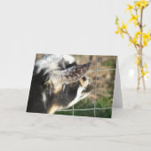 ボタン カード (黄色い花)