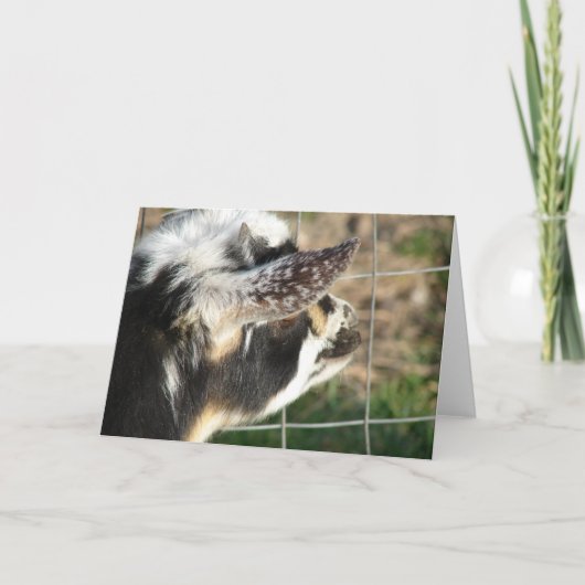 ボタン カード (正面)