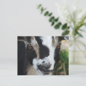 ボタン ポストカード (スタンド正面)