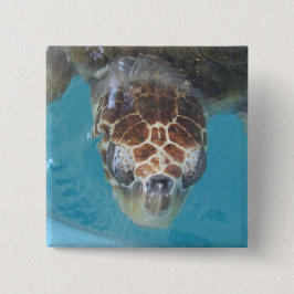 ボタン 缶バッジ