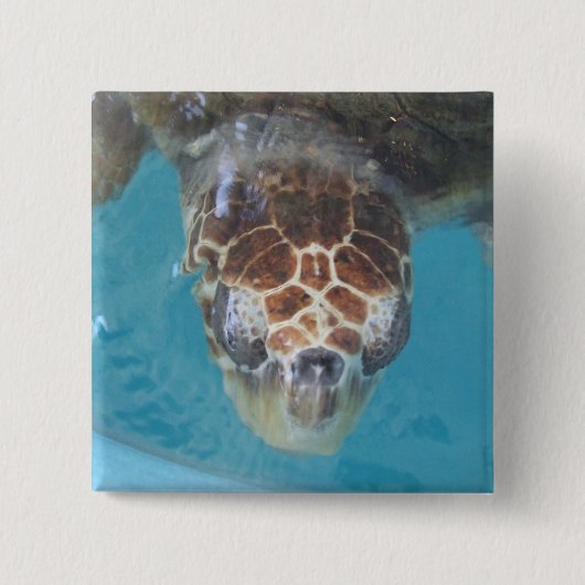 ボタン 缶バッジ (正面)