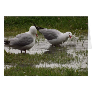 ボチャンと言うな