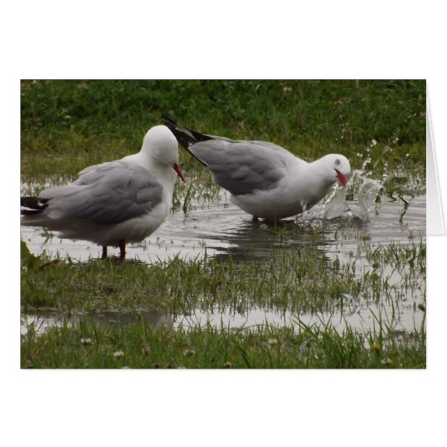 ボチャンと言うな (正面横)