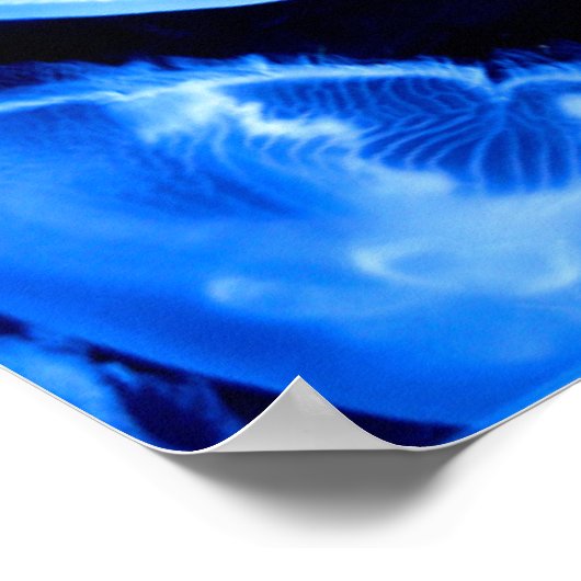 ボックスクラゲ ポスター (角)