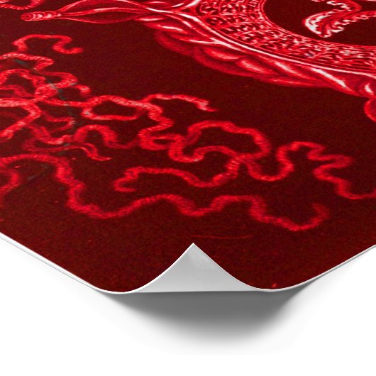 ボックスクラゲ ポスター (角)