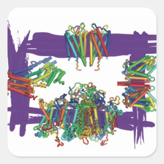 ボックスステッカーを介した膜タンパク質 スクエアシール