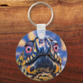 ボックスタートルキーチェーン キーホルダー (正面)