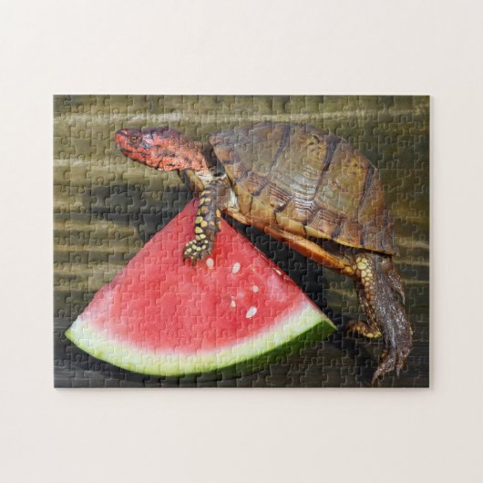 ボックスタートルフィジカルおもしろいフィットネスエクササイズ ジグソーパズル (横)