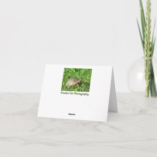 ボックスタートル カード (裏面)