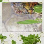 ボックスタートル キッチンタオル (折り畳み)