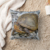 ボックスタートル クッション (ブランケット)