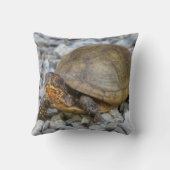 ボックスタートル クッション (裏面)