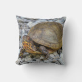 ボックスタートル クッション (正面)