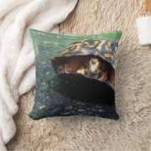 ボックスタートル クッション (ブランケット)