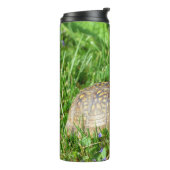 ボックスタートル タンブラー (回転左)