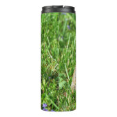 ボックスタートル タンブラー (裏面)