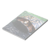 ボックスタートル ノートパッド (回転)