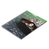 ボックスタートル ノートブック (左側)