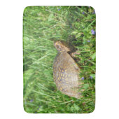 ボックスタートル バスマット (正面縦)