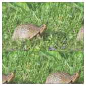 ボックスタートル ファブリック (クローズアップ)