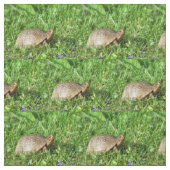 ボックスタートル ファブリック (見本)