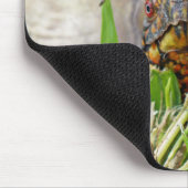 ボックスタートル マウスパッド (コーナー)