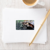 ボックスタートル ラベル (インサイチュ)