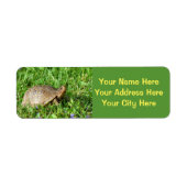 ボックスタートル ラベル (正面)