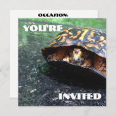 ボックスタートル 招待状 (正面/裏面)