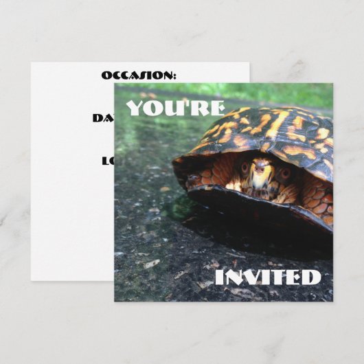 ボックスタートル 招待状 (正面/裏面)