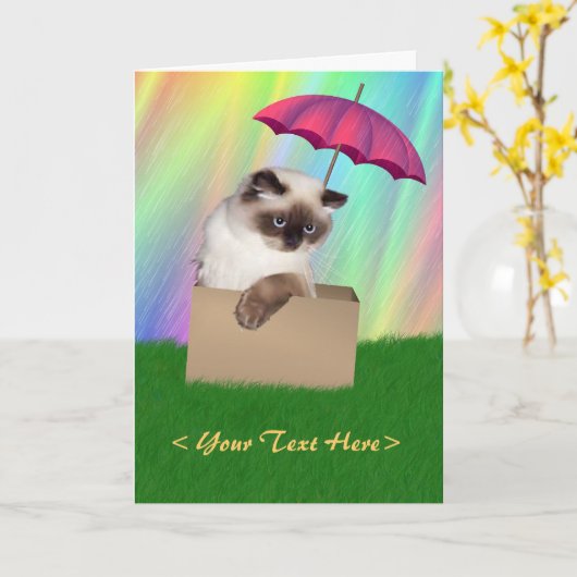 ボックス内のネコ カード (黄色い花)