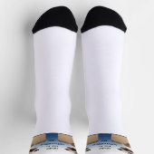 ボックス内のネコ ソックス (上部)