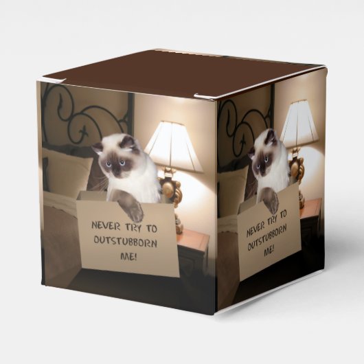 ボックス内のネコ フェイバーボックス (正面サイド)