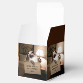 ボックス内のネコ フェイバーボックス (オープン)