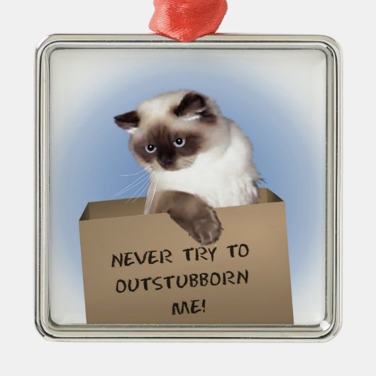 ボックス内のネコ メタルオーナメント (正面)